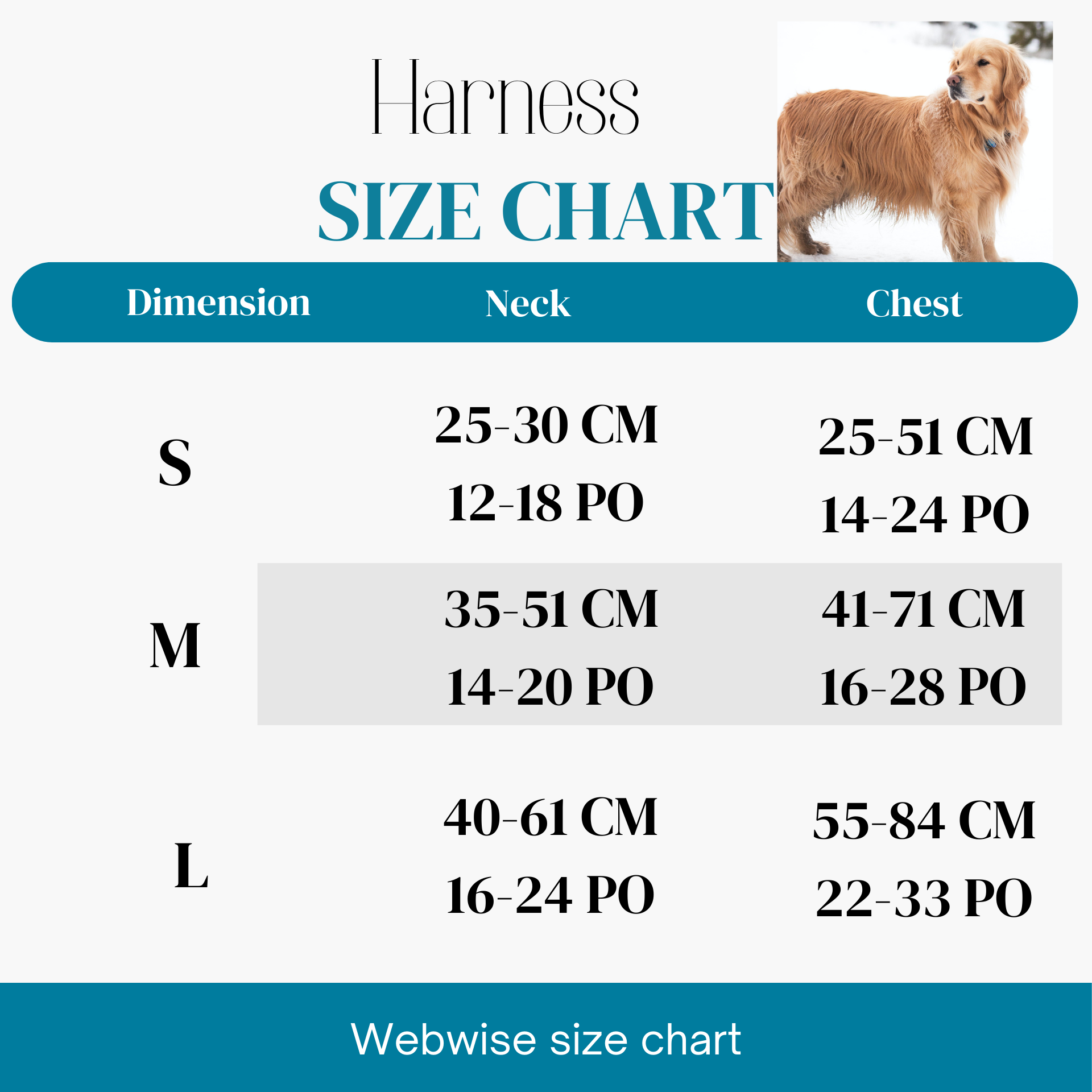 Harnais Chien Anti Traction Ajustable | Confort & Sécurité – Livraison Rapide